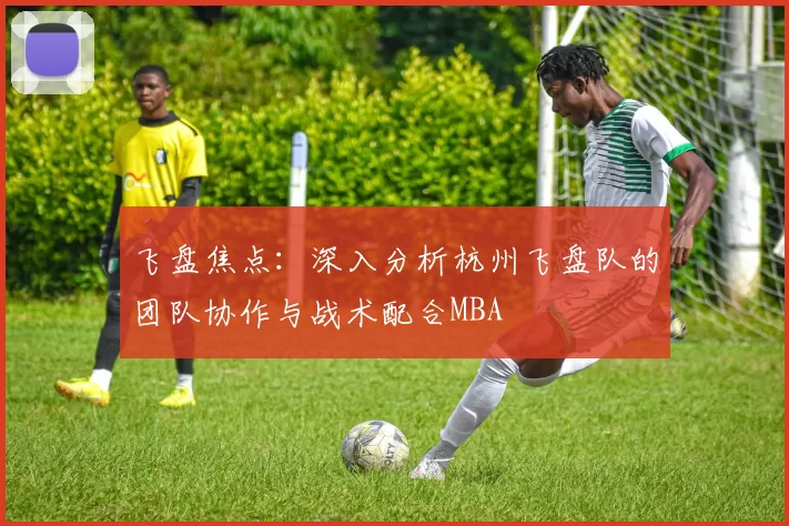 飞盘焦点：深入分析杭州飞盘队的团队协作与战术配合MBA