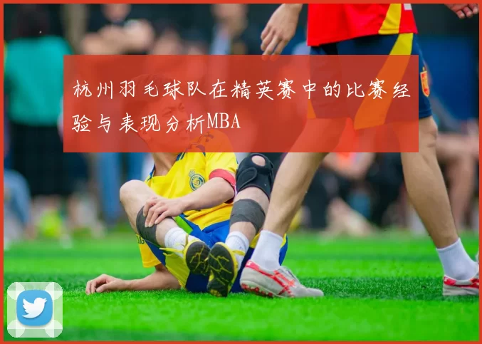 杭州羽毛球队在精英赛中的比赛经验与表现分析MBA