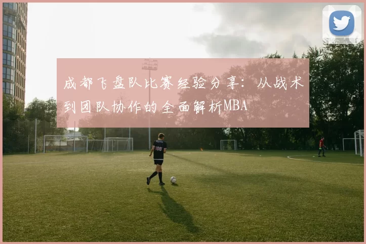 成都飞盘队比赛经验分享：从战术到团队协作的全面解析MBA